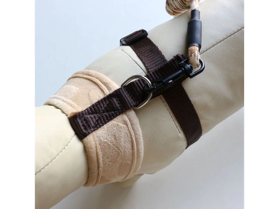 Dog harness on a mannequin with a leash attached.