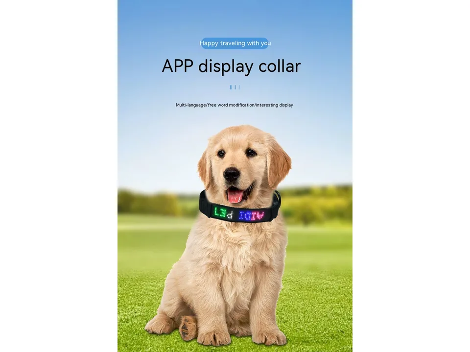 A puppy wearing the smart LED dog collar