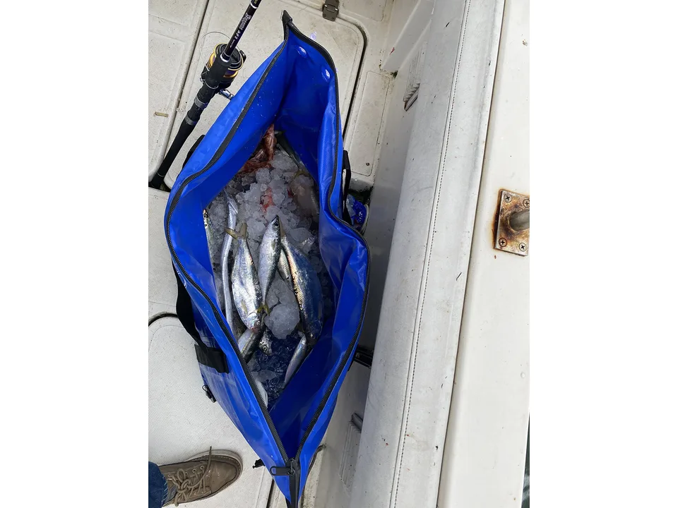 Open blue cooler bag filled with ice and fresh fish on a boat.