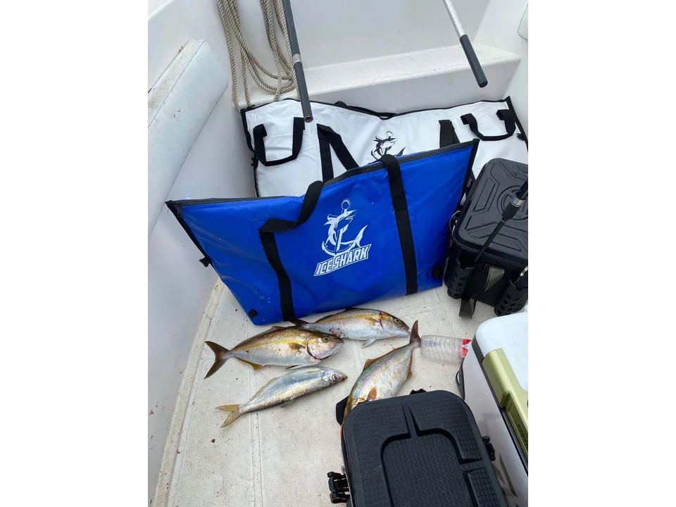 Blue IceShark insulated cooler bag on a boat deck with freshly caught fish.