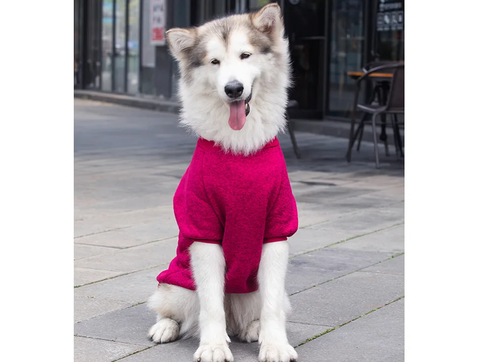 A large dog wearing a red fleece sweater sitting outdoors.