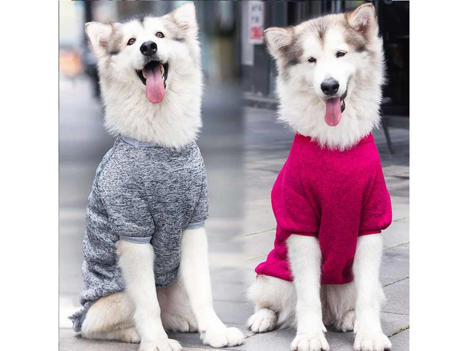 Two large dogs sitting side-by-side wearing grey and red fleece sweaters.