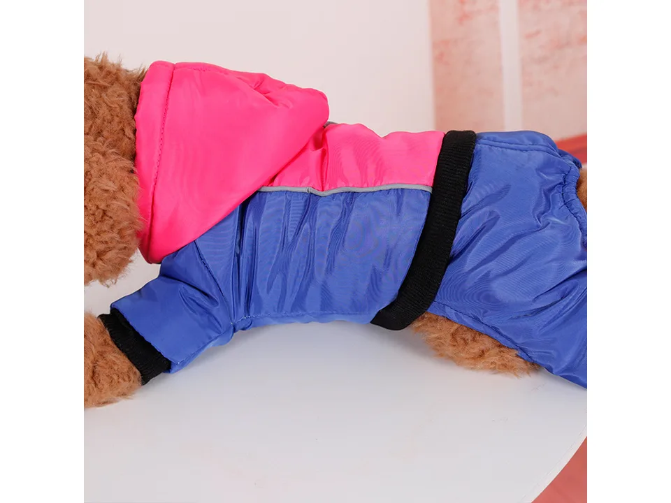 A dog wearing a blue and pink insulated jumpsuit with a hood.