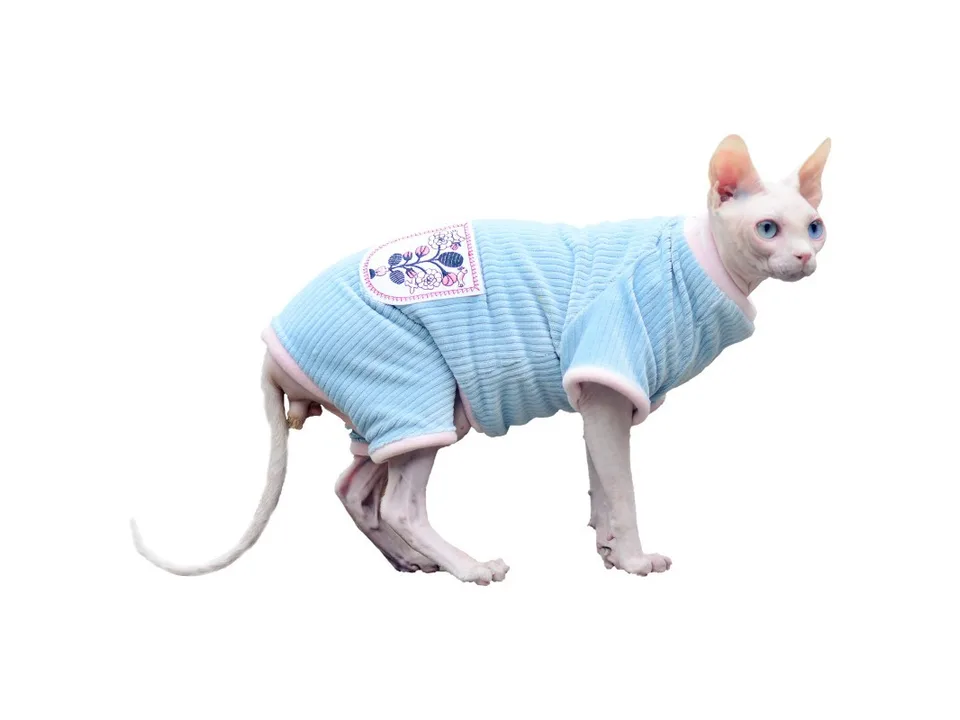 A hairless cat wearing a light blue ribbed jumpsuit with a floral pocket detail.