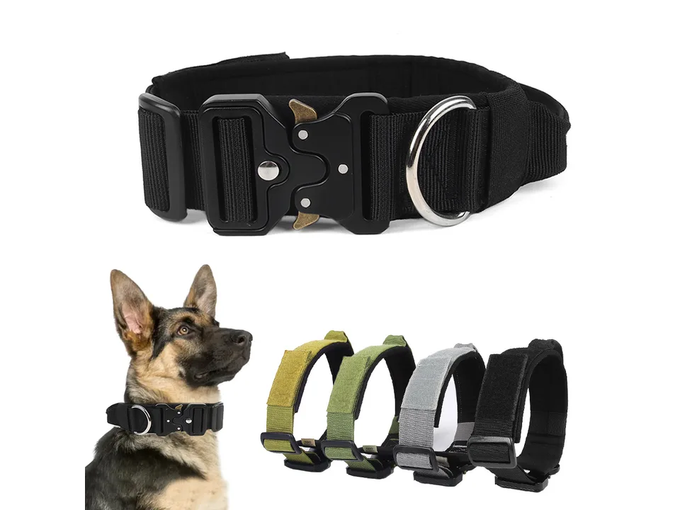 Tactical dog collar with metal buckle, shown on a German Shepherd and in four different colors.