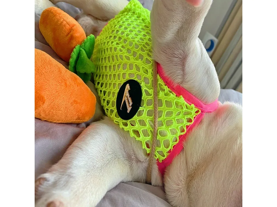 Close-up of the neon green mesh dog vest with a circular logo patch.