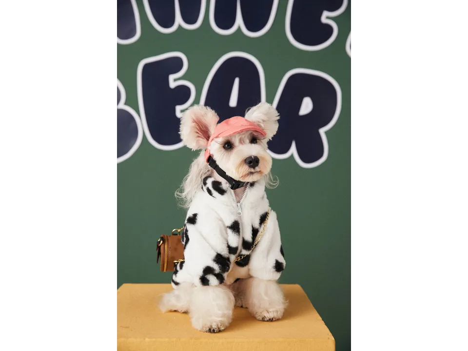 A small dog wearing a plush dalmatian-print coat with a zipper and a pink cap.
