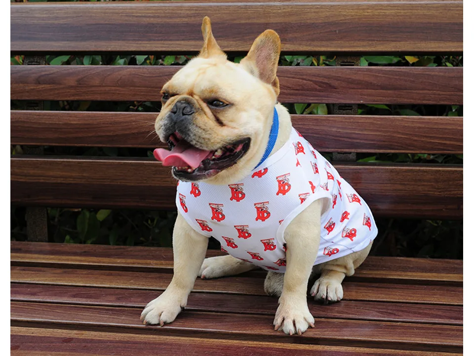 A French bulldog wearing a white vest with a red letter print pattern.
