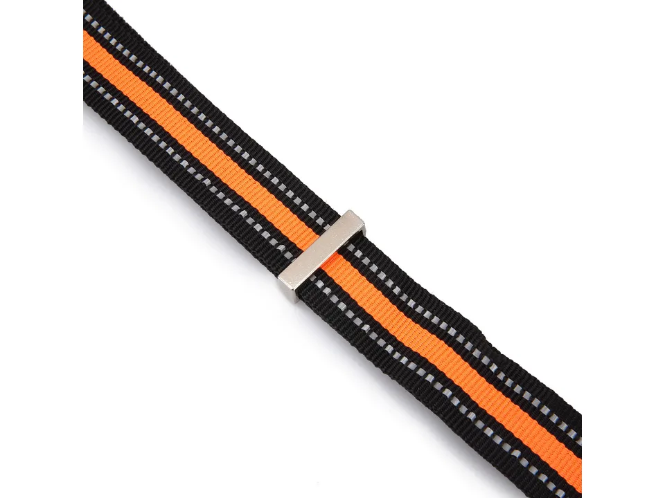 Close-up of the metal adjustment buckle on the reflective dog leash strap.