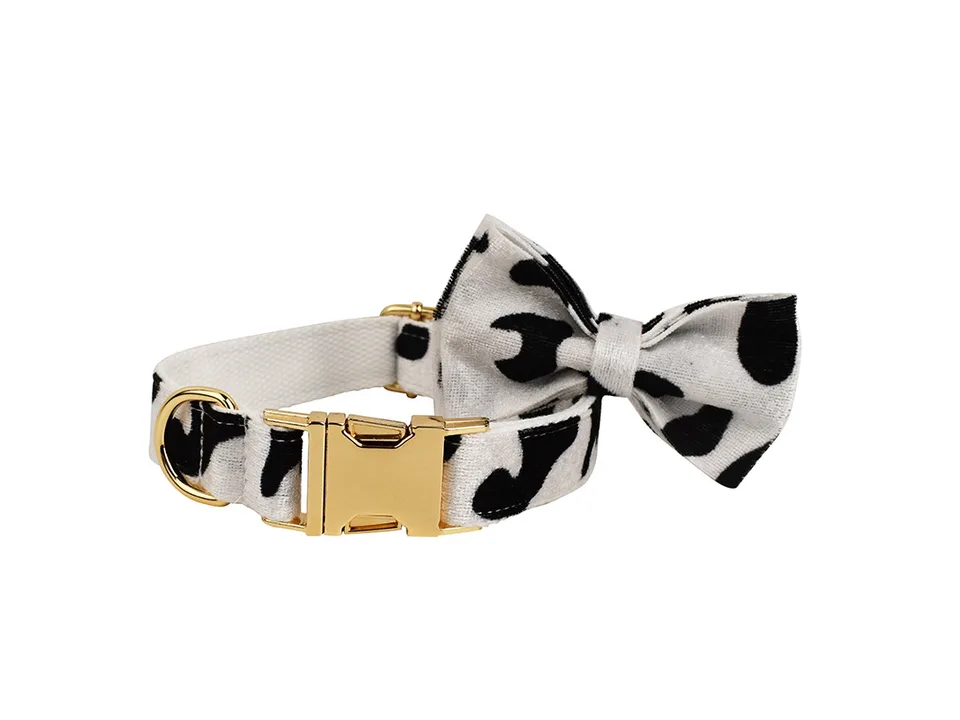 A cow print dog collar with a matching bow tie attached.