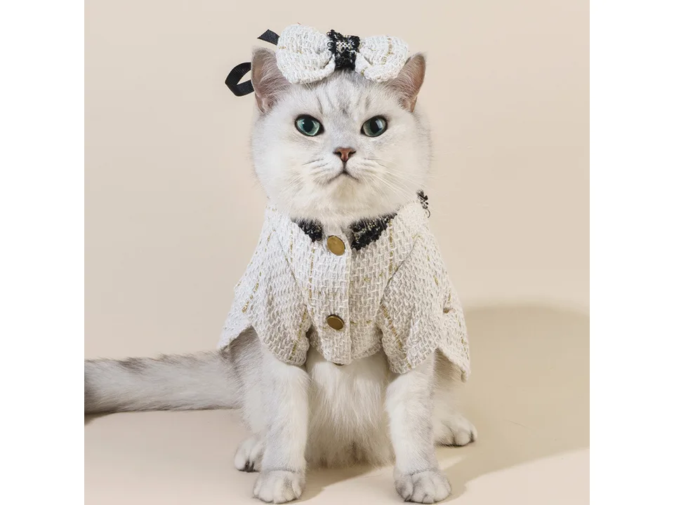 A cat wearing the white tweed coat, hat, and bow tie set.