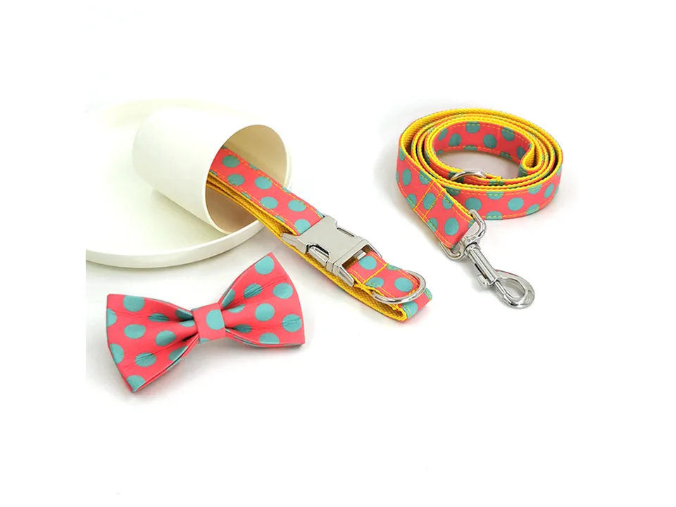 A polka dot dog collar with a bowknot, a leash, and a white cup.