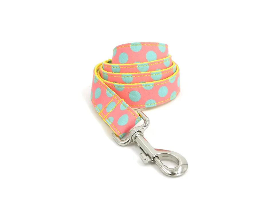 A coiled polka dot dog leash with a metal clasp.