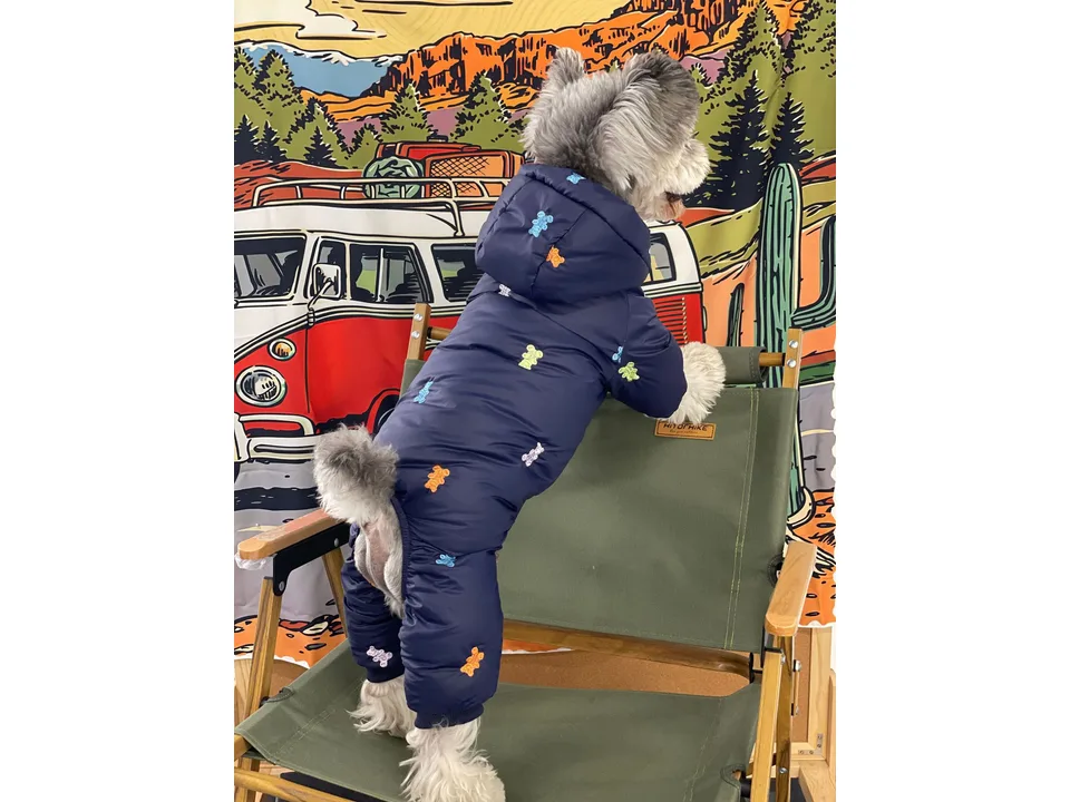A dog wearing a navy blue hooded jacket with colorful bear embroidery, viewed from the back.