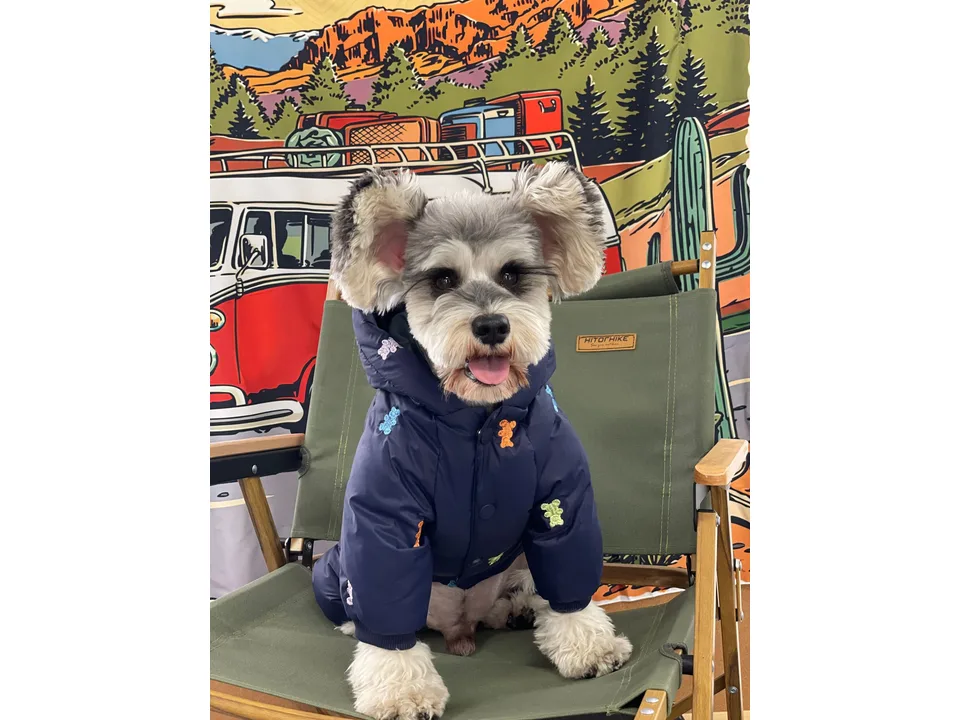 A dog wearing a navy blue hooded jacket with colorful bear embroidery, viewed from the front.