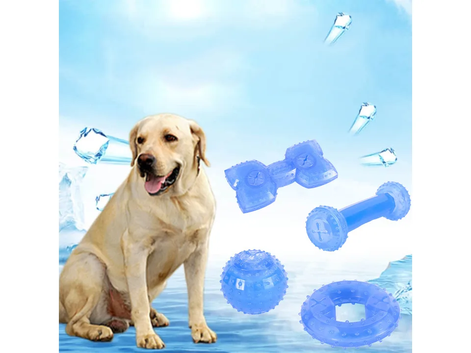 A Labrador dog sitting next to the four blue cooling dog toys.
