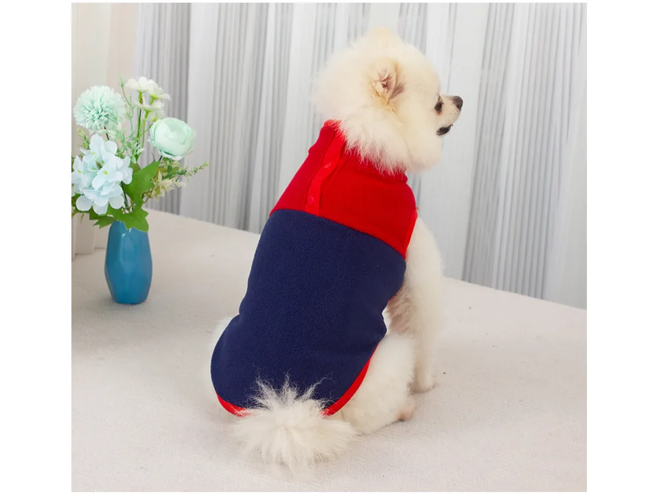 A small white dog wearing a red and blue fleece jacket with snap buttons on the back.