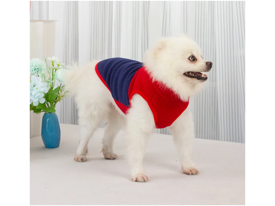A small white dog wearing a red and blue fleece jacket, viewed from the side.
