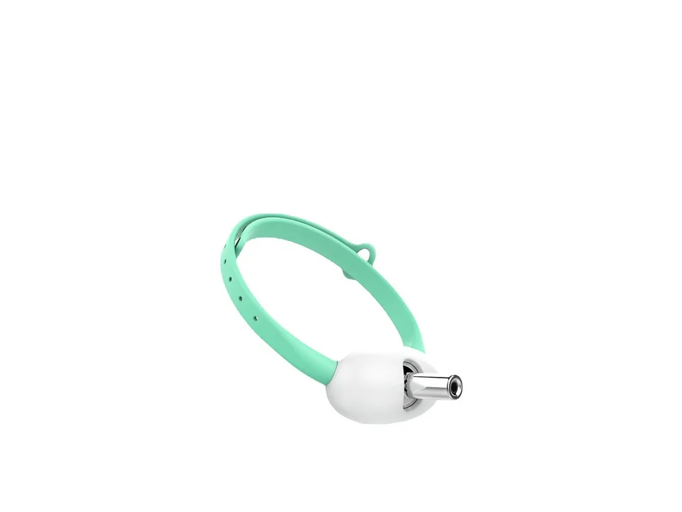 Side view of the mint green laser cat collar.