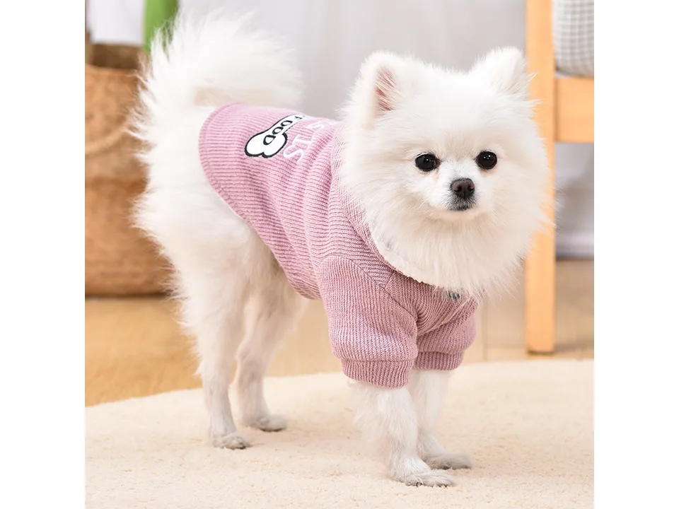 A white fluffy dog wearing a pink hooded sweater with a bone graphic.