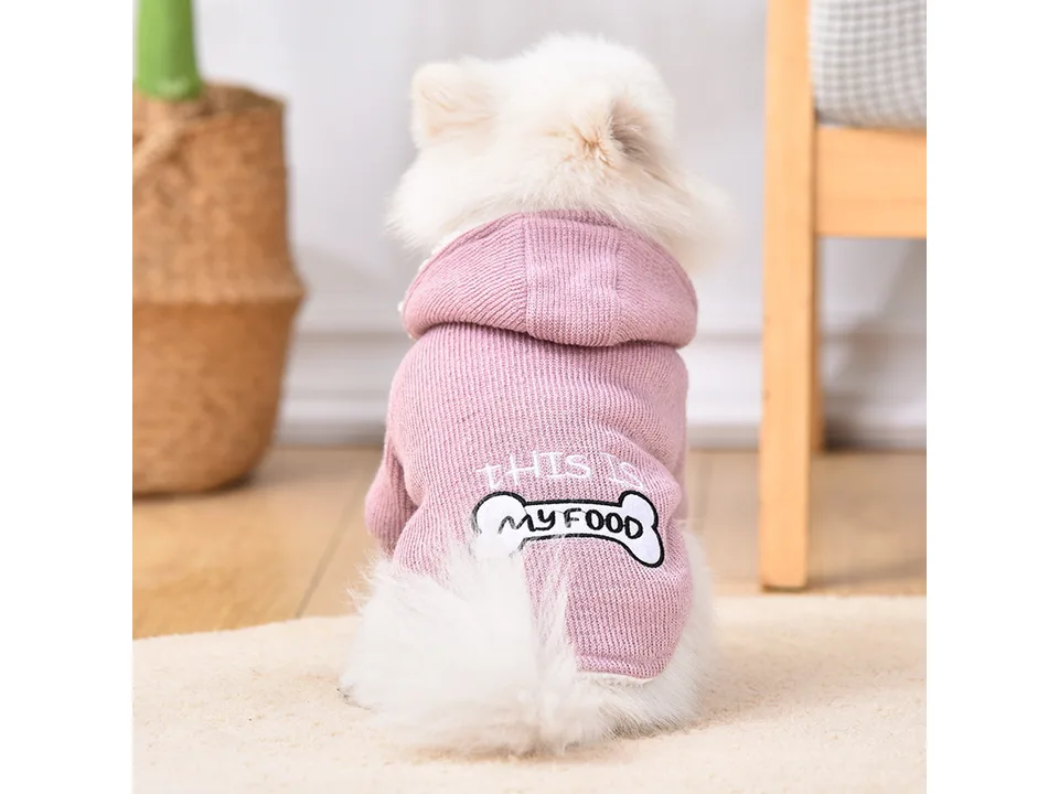 A white fluffy dog wearing a pink hooded sweater with 'This is my food' text and a bone graphic on the back.
