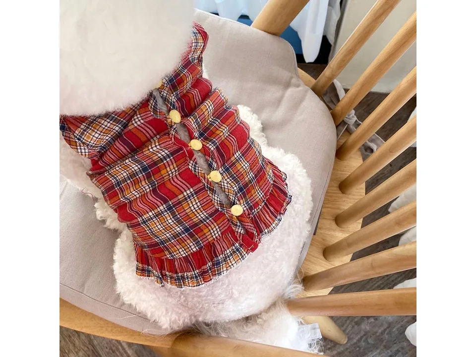 Close-up of a red plaid pet vest with yellow buttons on a dog.
