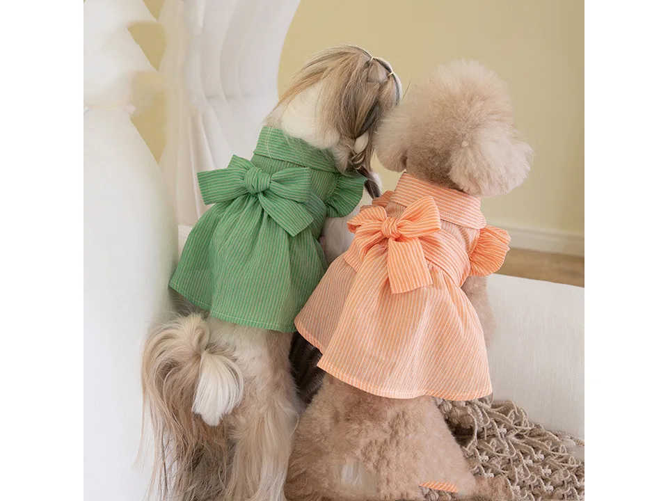 Two dogs seen from behind wearing the green and orange striped pet dresses.