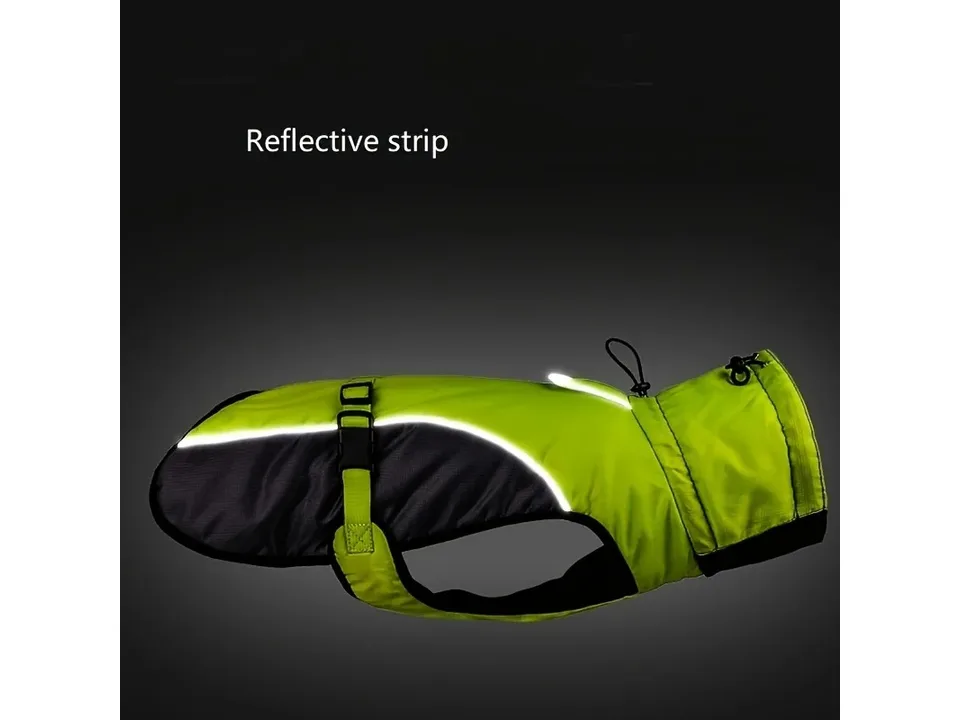 Green dog coat showing the reflective strip feature.