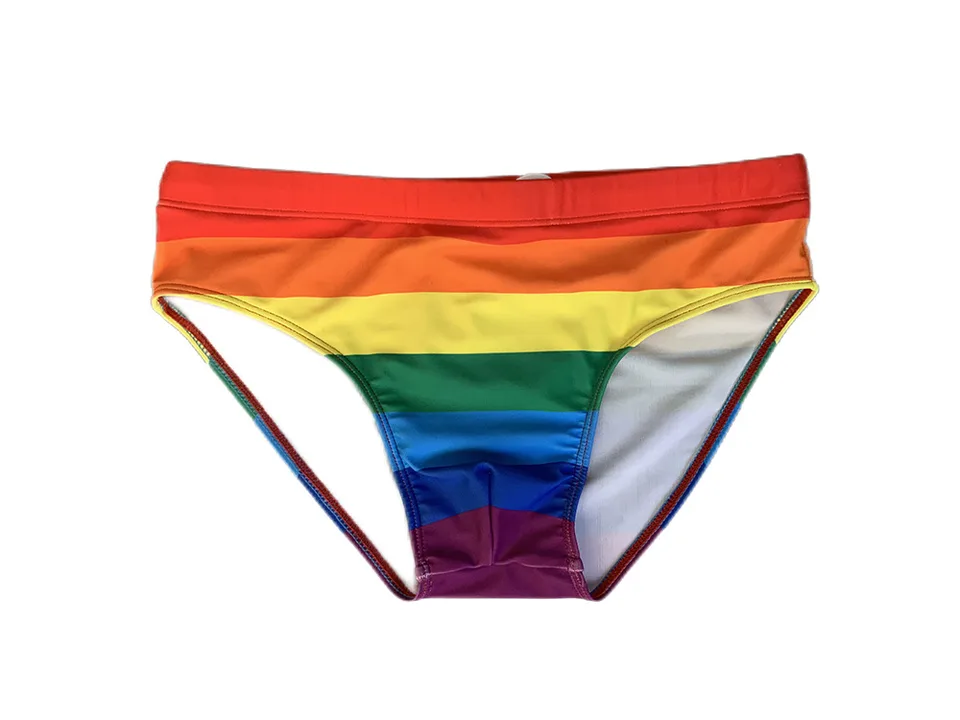 Front view of rainbow striped swimming briefs on a white background.