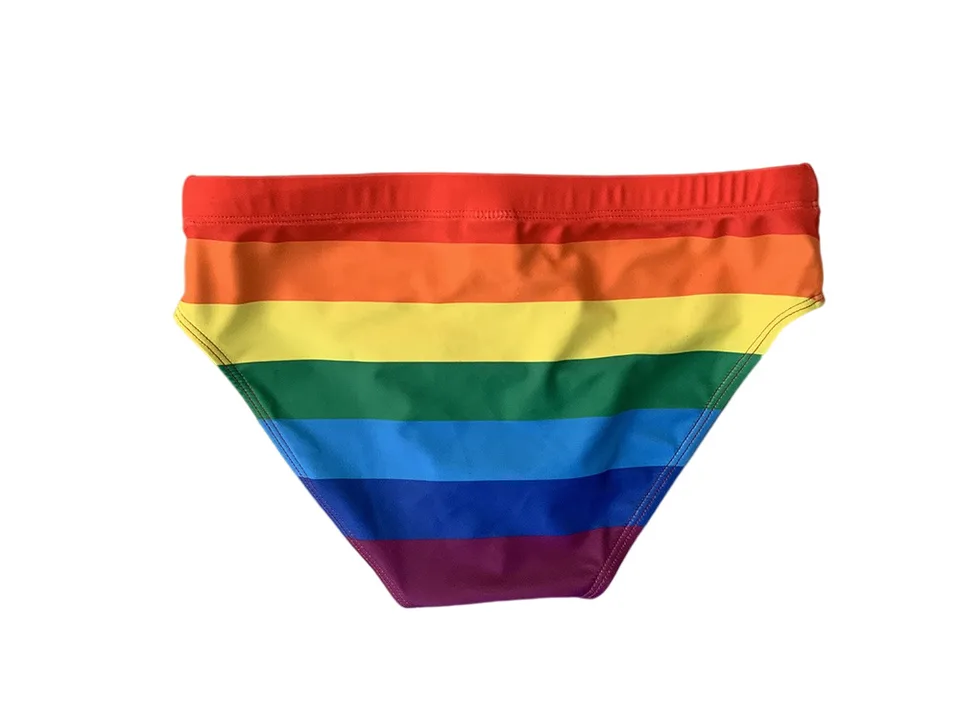 Back view of rainbow striped swimming briefs on a white background.