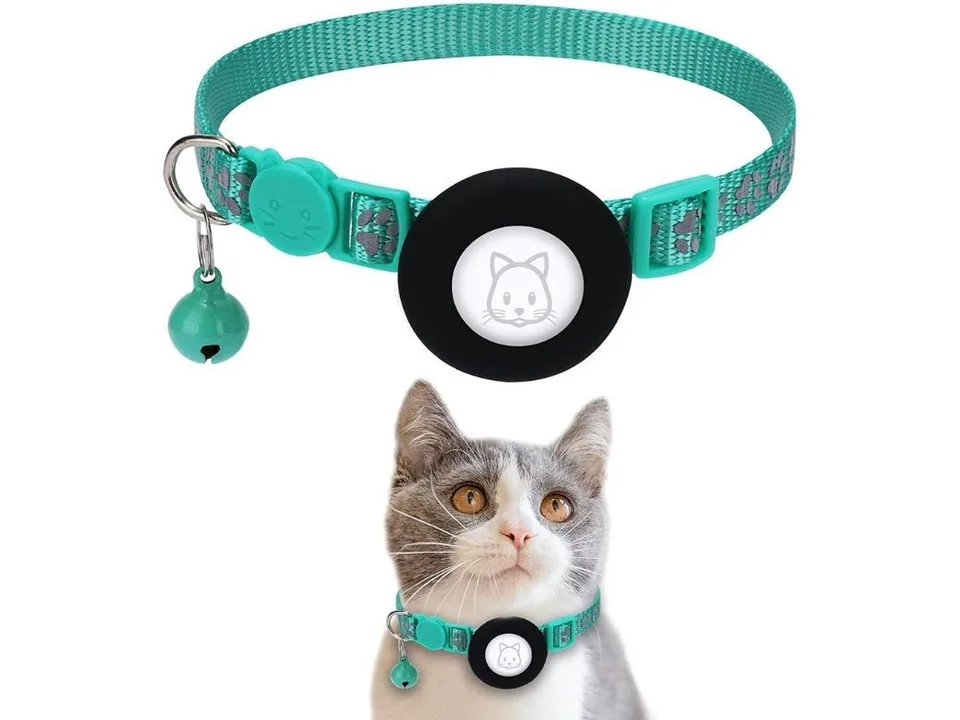 A teal cat collar with a black tracker holder and bell on a cat.