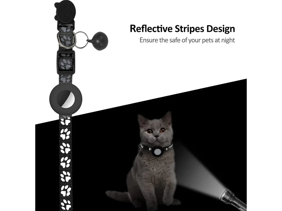 A cat wearing a reflective collar being illuminated by a flashlight in the dark.