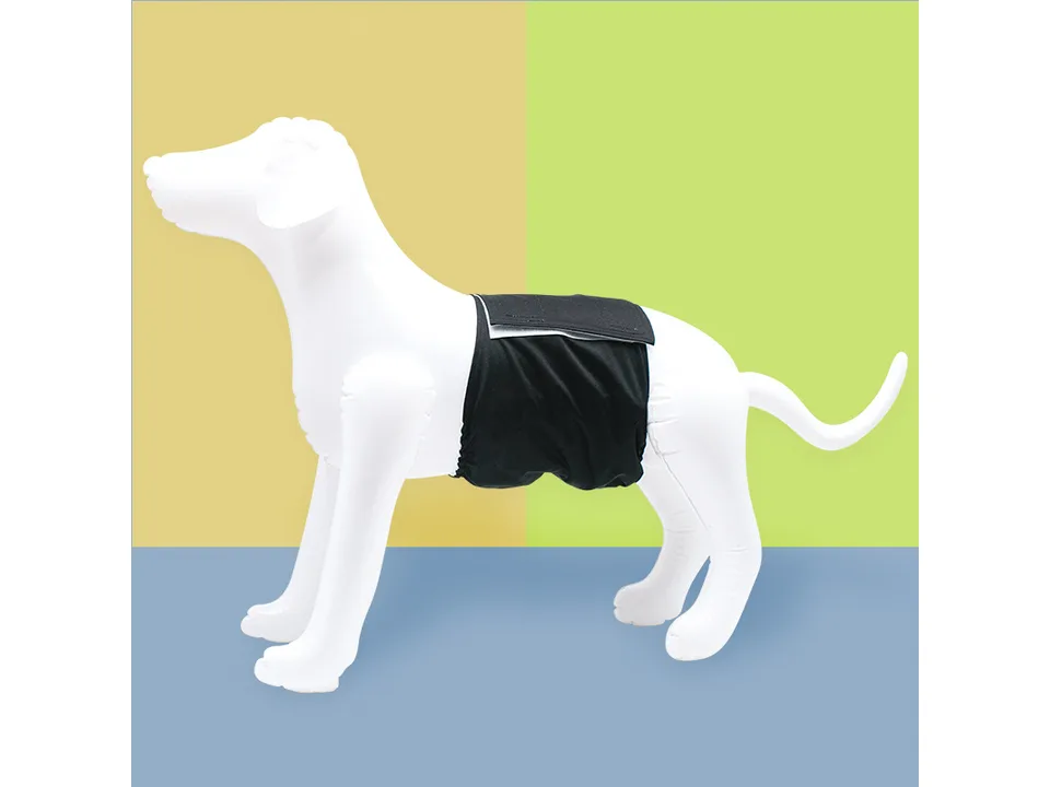 A black dog belly band diaper on a white dog mannequin.