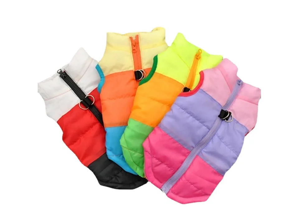 Four dog jackets in bright color-blocked patterns.