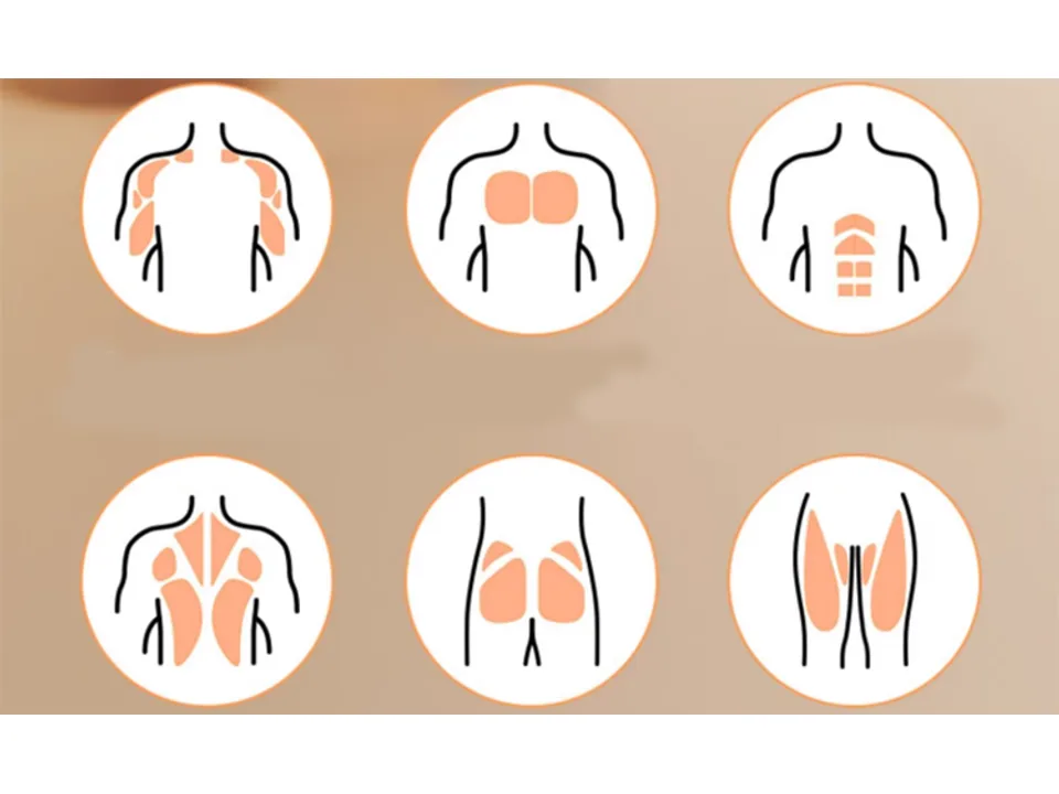 Diagrams highlighting various human muscle groups targeted by the exercise.