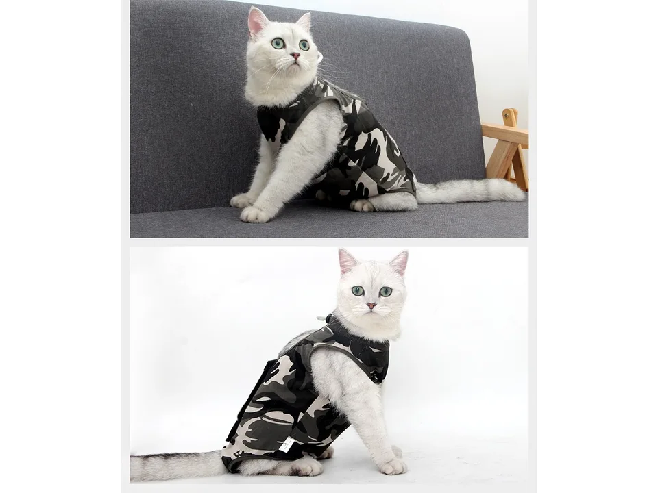 A cat wearing the camouflage post-surgery recovery suit, shown from side and front views.