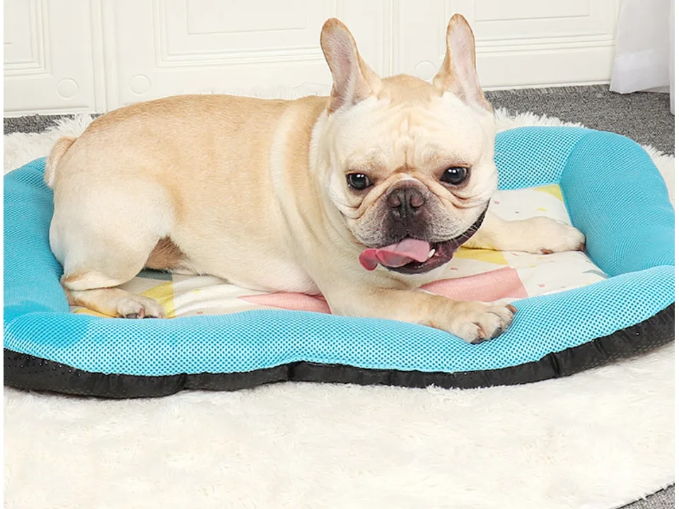 A French bulldog lying comfortably on the blue pet cooling mat.