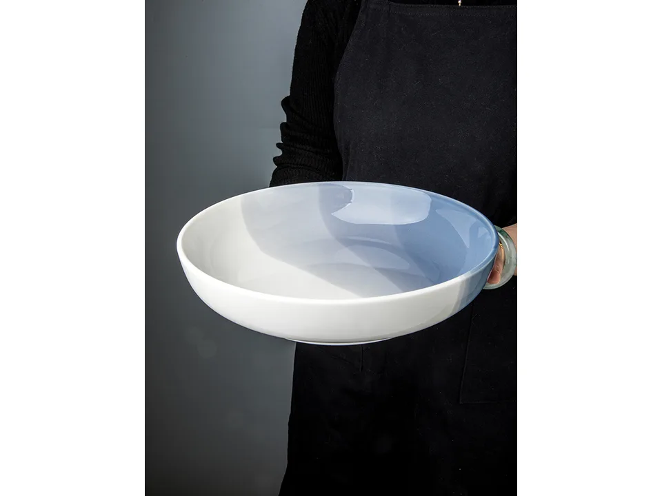 A person holding a blue and white ceramic bowl.