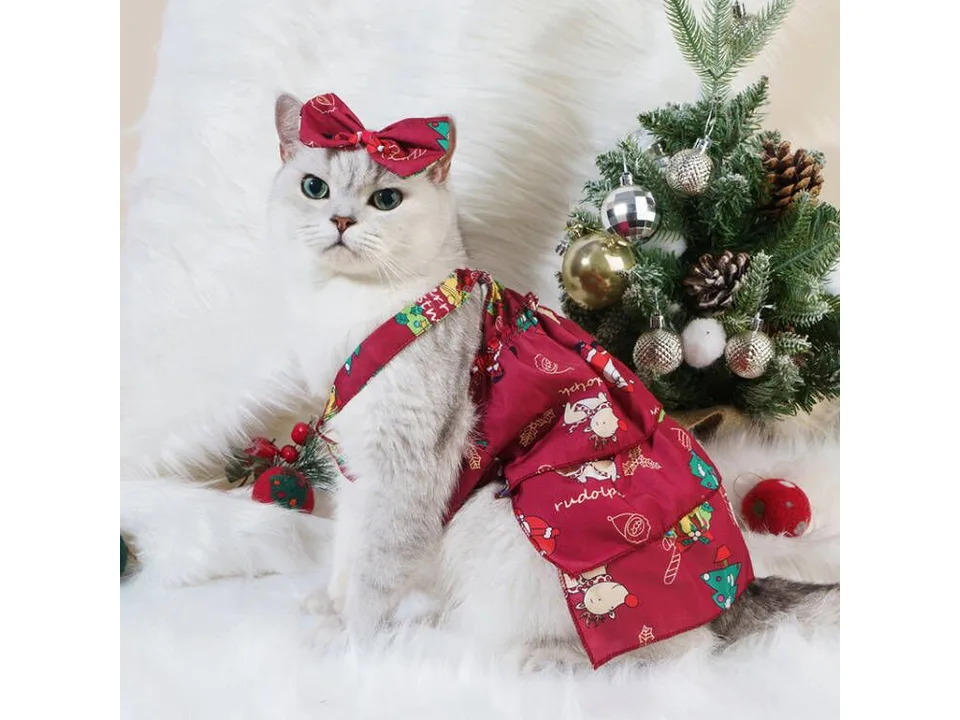 A cat wearing a red Christmas-themed dress with a matching bow.