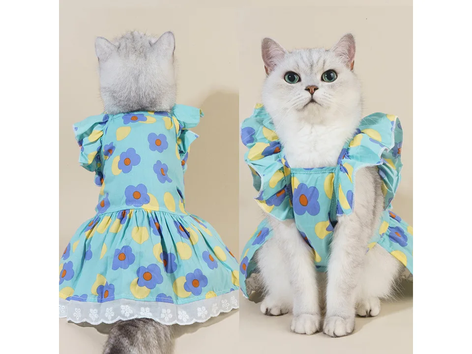 A cat wearing a blue floral dress with ruffles, shown from front and back views.