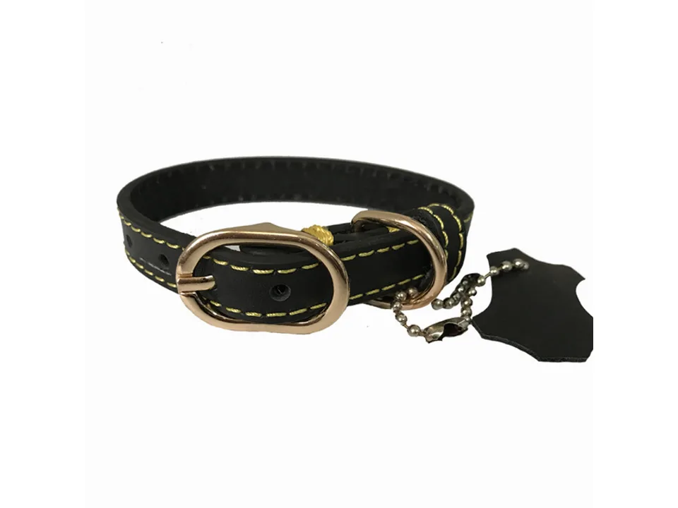 A collection of leather pet collars in various colors arranged in a row.