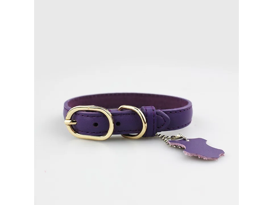 A black leather pet collar with a gold buckle and a small leather tag.