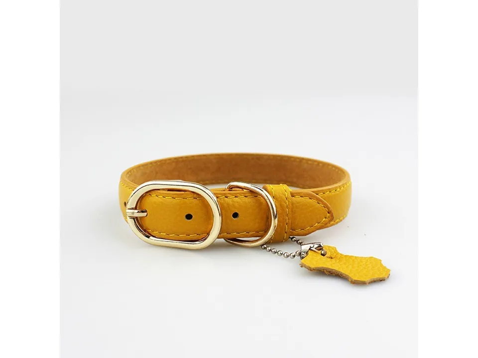 A purple leather pet collar with a gold buckle and a small leather tag.