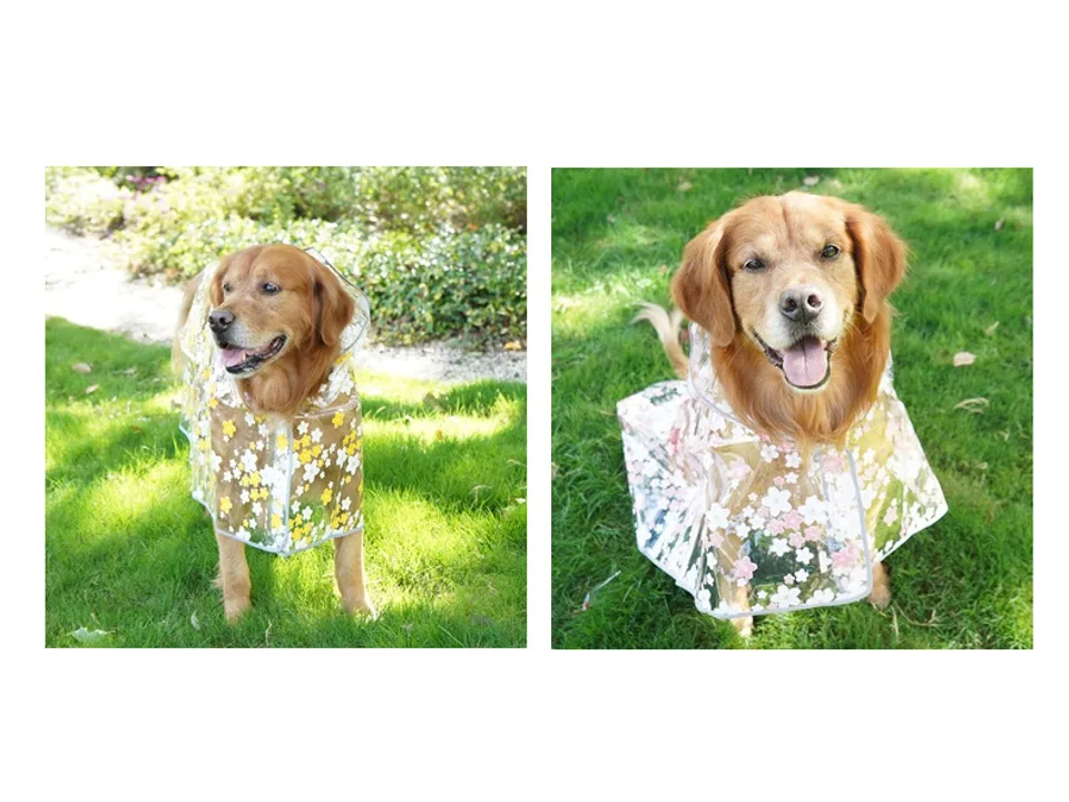 Two dogs wearing clear raincoats, one with a yellow flower pattern and one with a pink flower pattern.