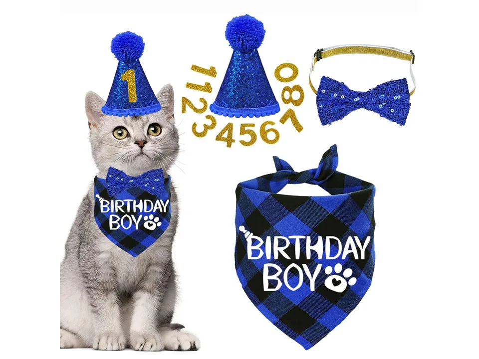 A cat wearing a blue plaid birthday bandana, a blue glitter hat, and a blue sequined bow tie.