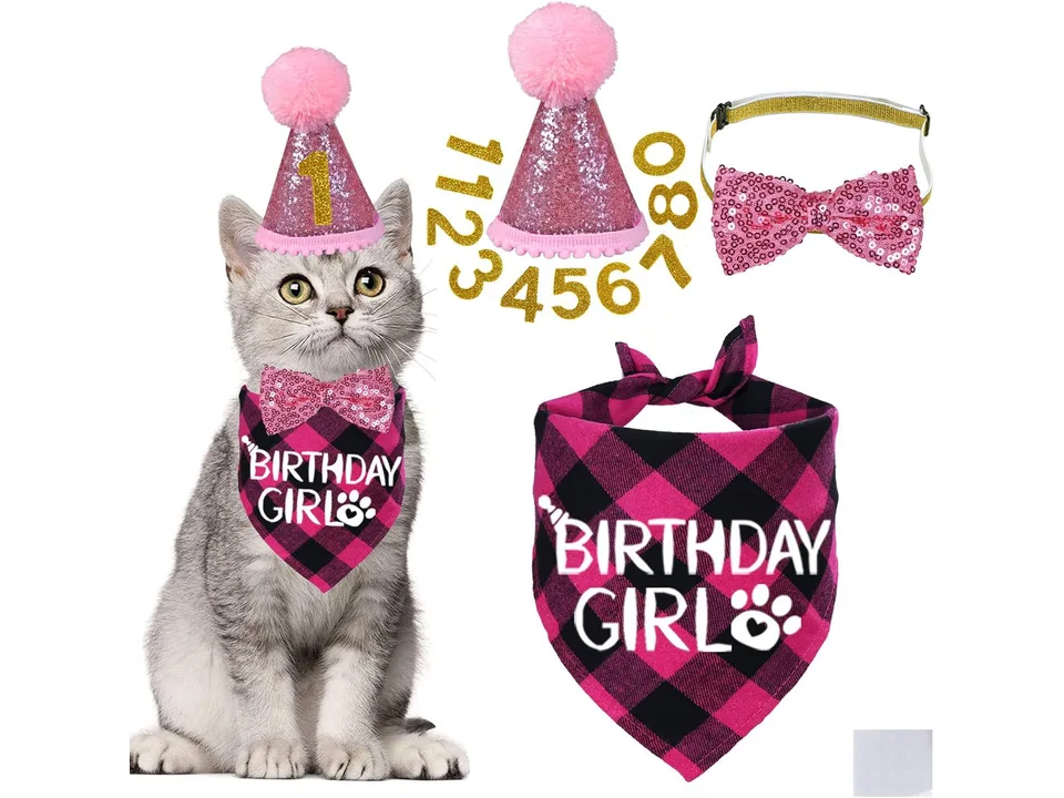 A cat wearing a pink plaid birthday bandana, a pink glitter hat, and a pink sequined bow tie.