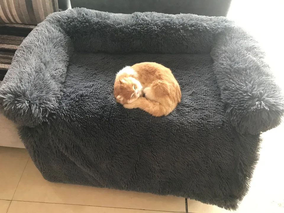 A small orange cat sleeping curled up in a grey plush pet bed.