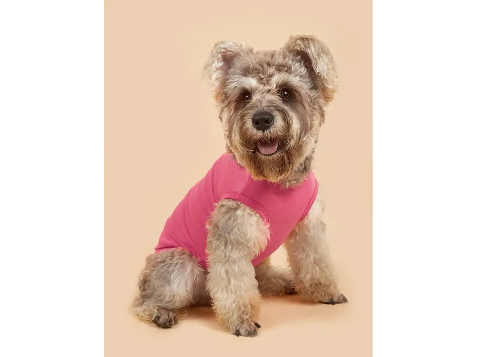 A dog wearing the pink dog vest with a gold chain print, viewed from the side.