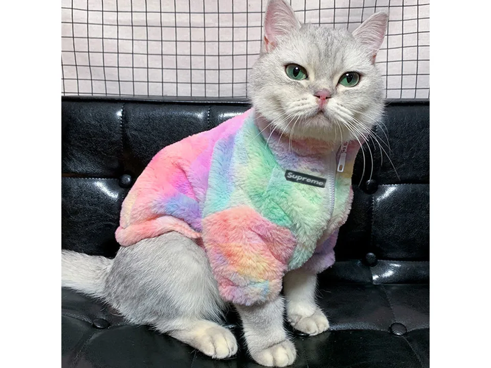 A cat wearing a fuzzy, rainbow-colored zip-up jacket.