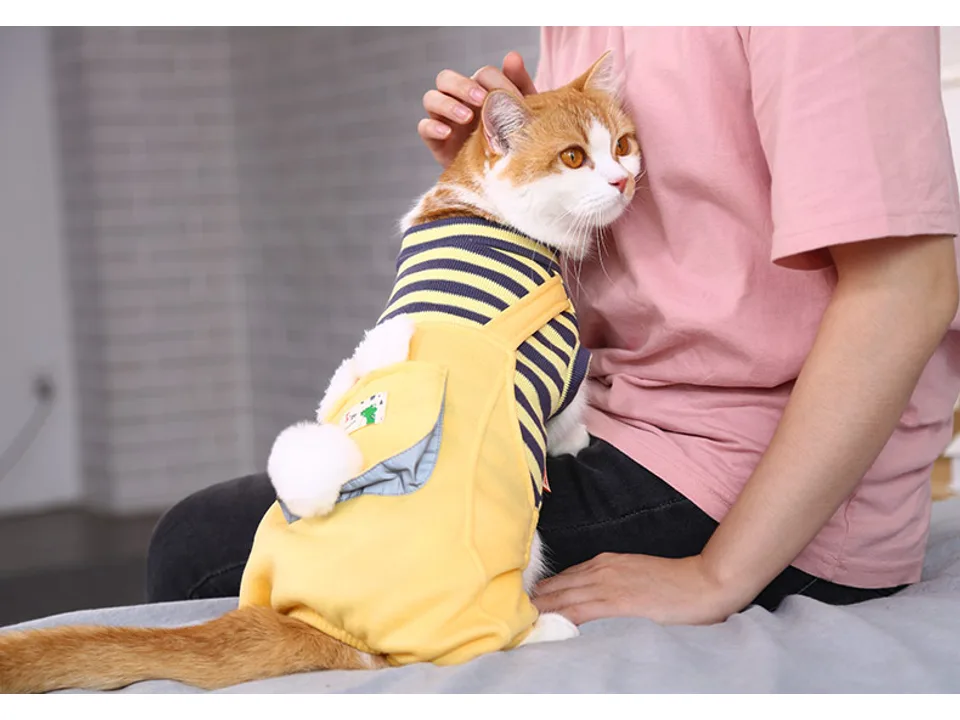 A person petting a cat wearing the yellow striped pet overalls.